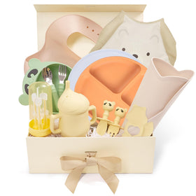 Deluxe Silicone Baby Feeding Essentials Set